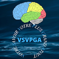 VSVPGA