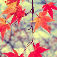 الربح السهل