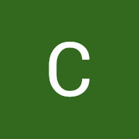 Crypto the Digital Gold