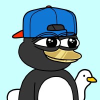 CryptoNinjas