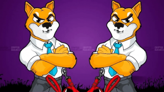 Shiba Inu Tops BTC and DOGE on Indian Exchange