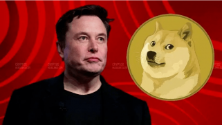 Tesla Now Accepts Dogecoin: DOGE Price Surges 20%