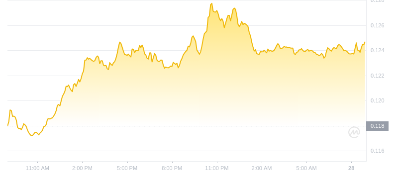Der aktuellste Preis von Dogecoin um 09:00 Uhr am 28. September 2024
