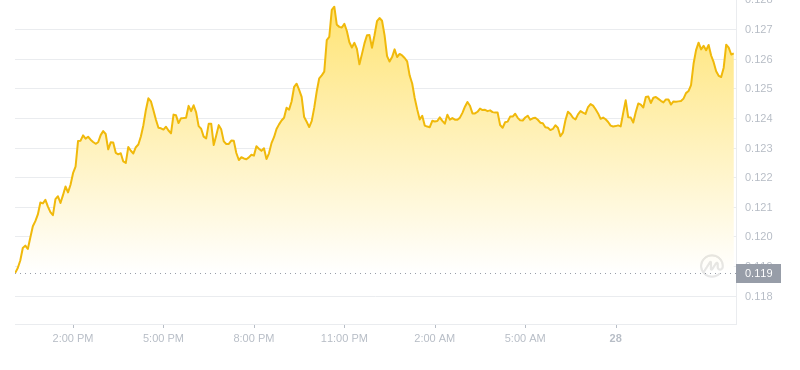 Der aktuelle Preis von Dogecoin um 12:00 Uhr am 28. September 2024