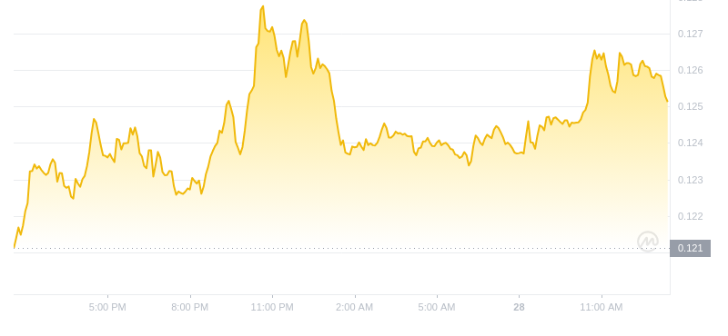 Der aktuellste Preis von Dogecoin um 13:00 Uhr am 28. September 2024