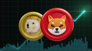 Dogecoin과 Shiba Inu의 상위 3개 경쟁자는 6개월 안에 귀하의 $250 가치를 300배로 $50,000로 바꿔줄 것입니다.