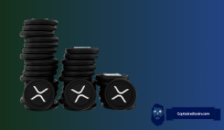 律师解释 Ripple 如何使用托管来保护 XRP 价格