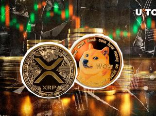DOGE、XRPは驚くべきことにすべての暗号通貨を上回ります