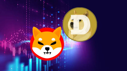 투자 금액 $500의 100배를 얻을 수 있는 5가지 유망한 Dogecoin 및 Shiba Inu 대안 – 단 2개월 만에 $50,000의 기회!