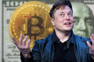 Aufnahme von Elon Musk über Bitcoin und Dogecoin enthüllt