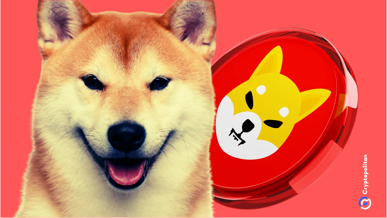 Dieser frühe Wal besitzt immer noch Shiba Inu (SHIB) im Wert von 2,5 Milliarden US-Dollar.