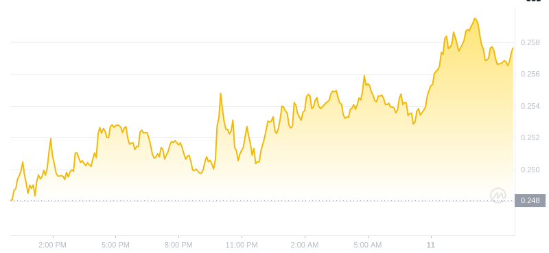 2025年2月11日，11:00 Dogecoin最新價格