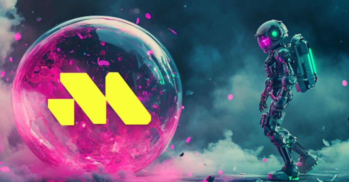 今日の犬の価格。