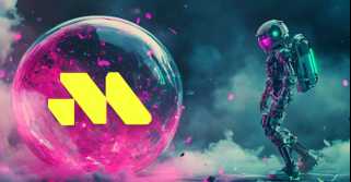 今日の犬の価格。