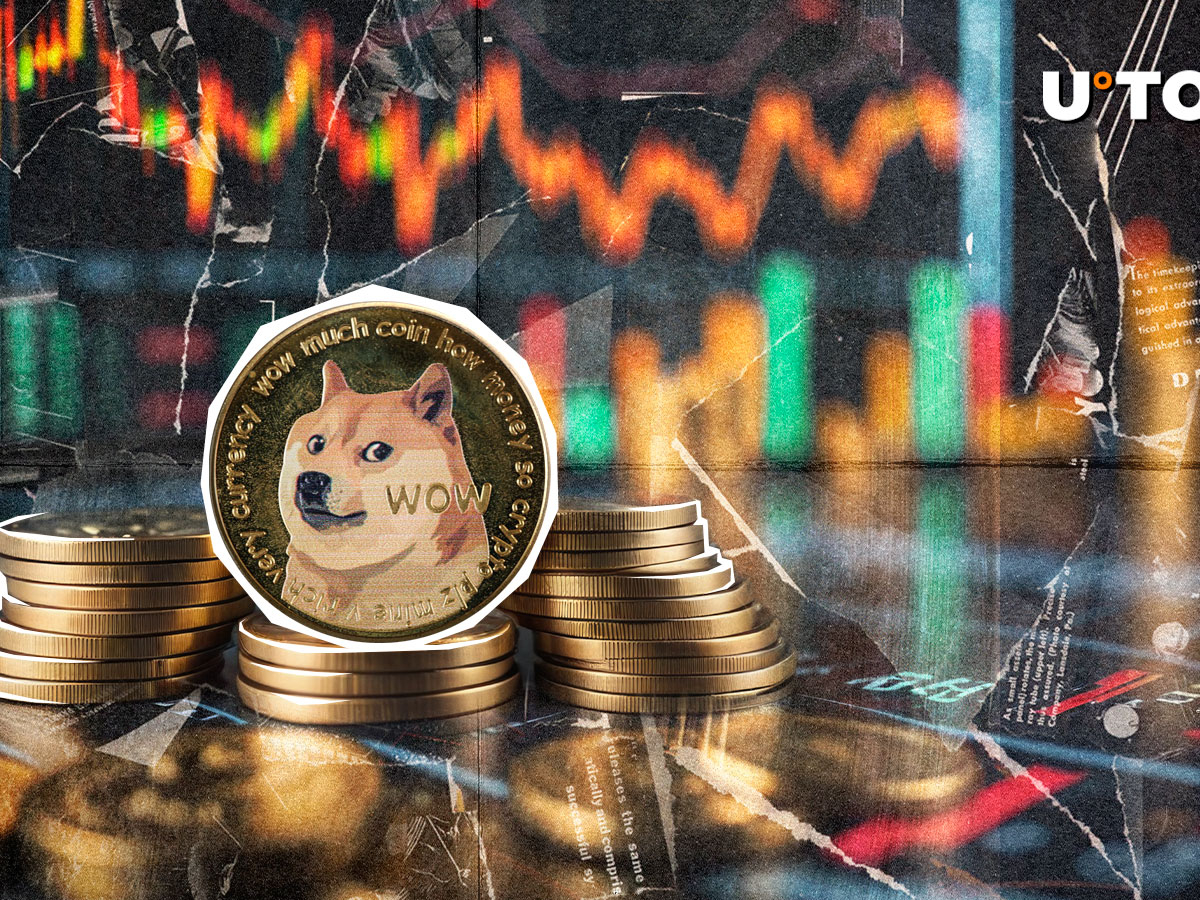 43,231,268 Dogecoin清算Doge Doge Short Traders