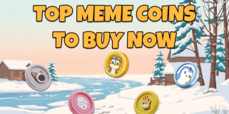 找到指數回報的最佳模因硬幣：3個具有巨大增長潛力的首選