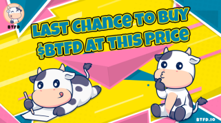 ベビーマノのコインを早く購入したいですか？ BTFDは、販売前に到着すると、$ 100kを375,000ドルに変えることができます