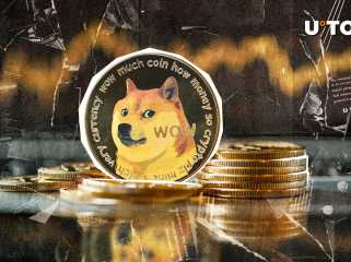 24小時內，記錄了93.8億多黴素（Doge），記錄了公開興趣的井噴