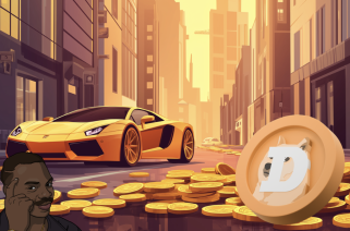 哇：冷軟件和總督持有者相信Shibi代幣ICO中有100倍的可能性