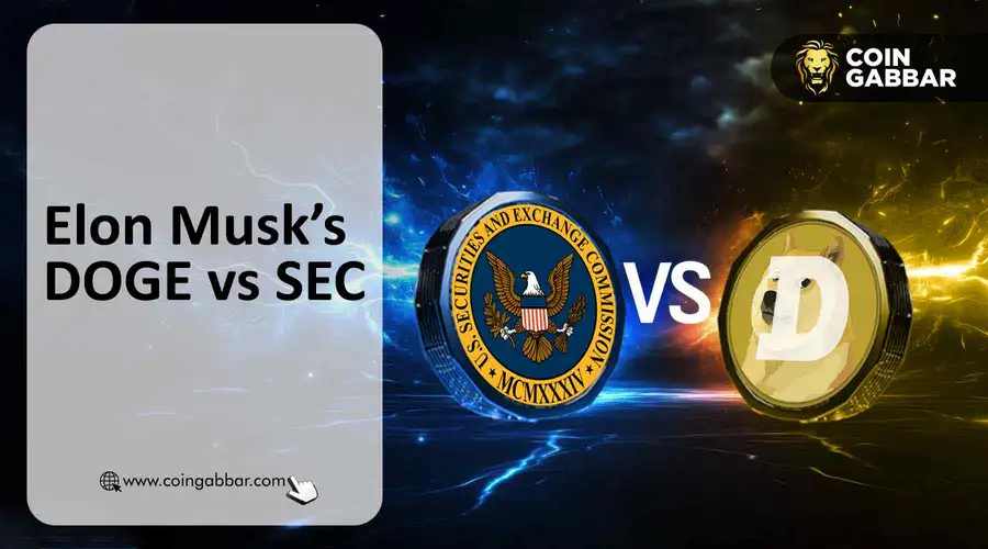 Das Ziel des Gouverneurs von Elon Musk ist SEC und erweitert die Aufsichtsbemühungen des Bundes