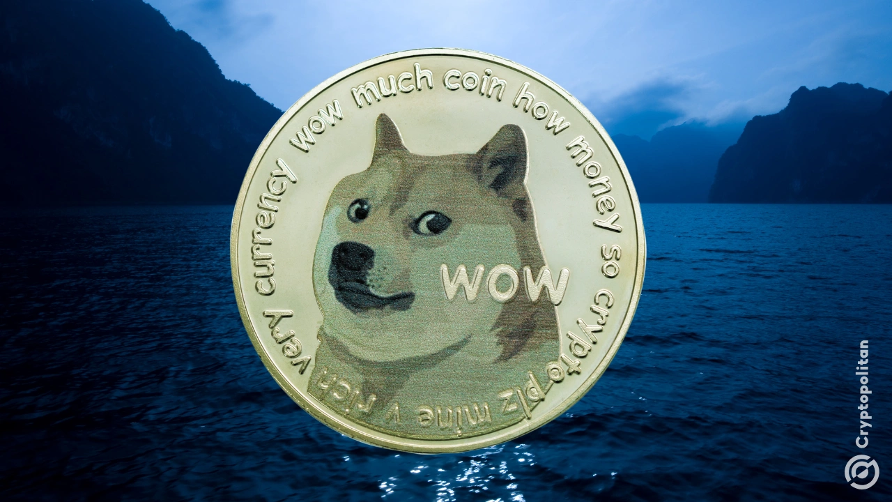Les baleines DoGECOIN disparaissent, les transactions baissent 88%