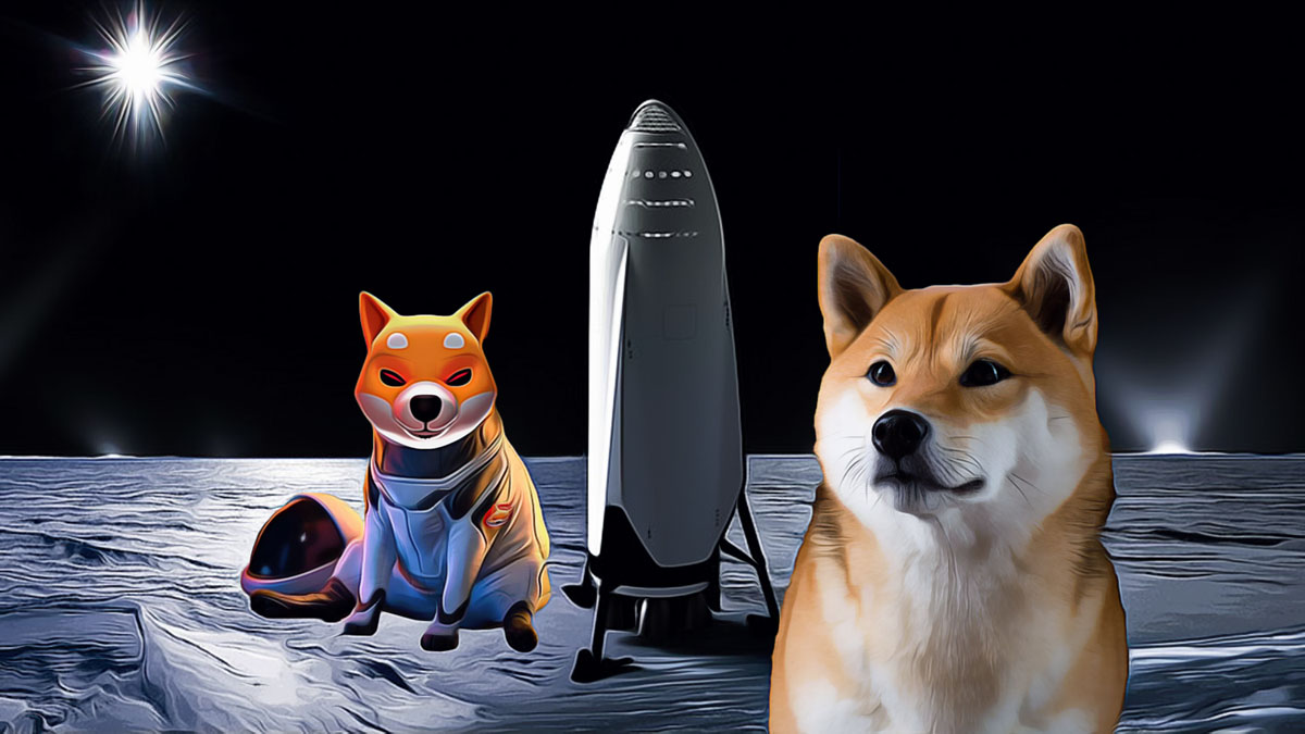 Können Dogecoin und Shiba Inu erholen?