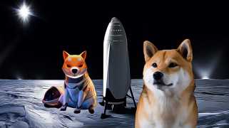 Können Dogecoin und Shiba Inu erholen?