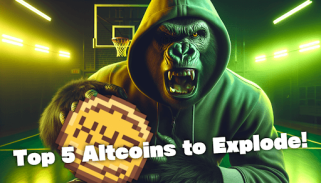 XRP, SOL, ADA, DOGE sieht einen Preisverfall von 20% - ist jetzt der perfekte Eingang?