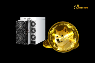 Ein beispielloser Anstieg: Doge Mining Rig -Bestellungen explodieren intchains im Jahr 2024