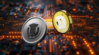 DogEcoin Whale überträgt Millionen von Doges aus Krypto -Börsen, was kaufen sie?