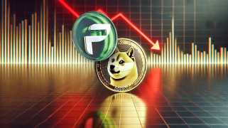 Dogecoin Price Dip sendet intelligente Fonds an diesen Altcoin vor einem großen Durchbruch von 455x
