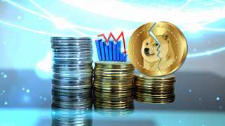 Regardez le prix de Dogecoin en tant que métrique clé, soulignez la croissance potentielle!