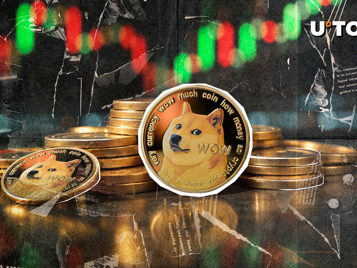 Qu'est-il arrivé à 9,05 milliards de domycin (DOGE) en 24 heures?