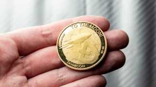 Dogecoin Price saute? De grands investisseurs ont acheté plus de 150 millions