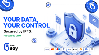 Web3bay의 현실적인 블록 체인 응용 프로그램 이더 리움의 제도적 지원과 Dogecoin의 변동 효과는