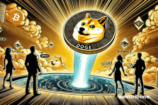 Un grand nombre de dogécoins transférés à Binance Sparks Crypto Buzz