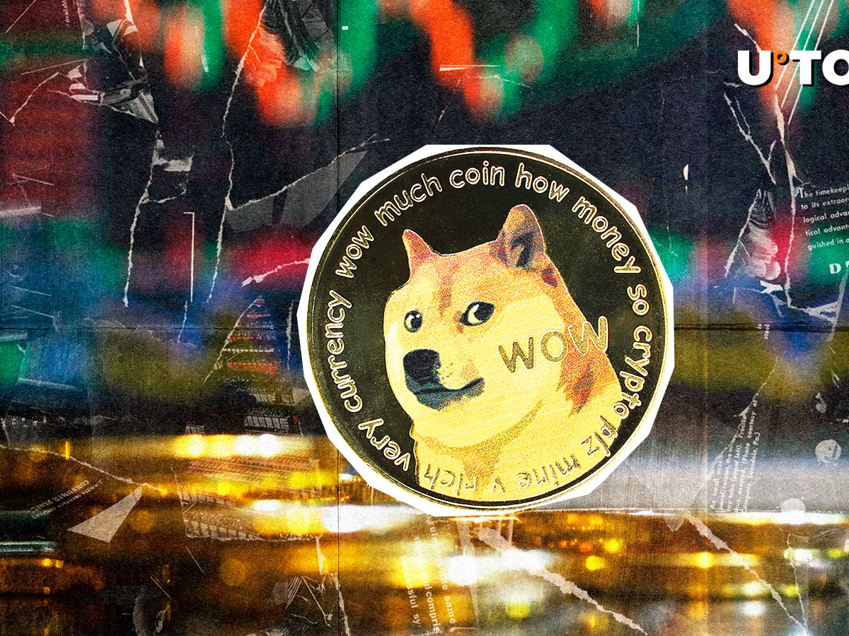 DogEcoin -Netzwerkheizung, da aktive Adresse 400% übersteigt