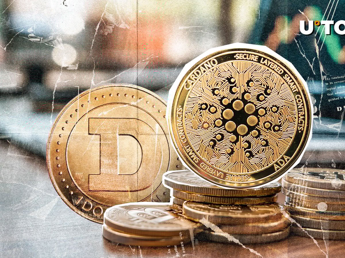 Dogeの端にあるCardano（ADA）