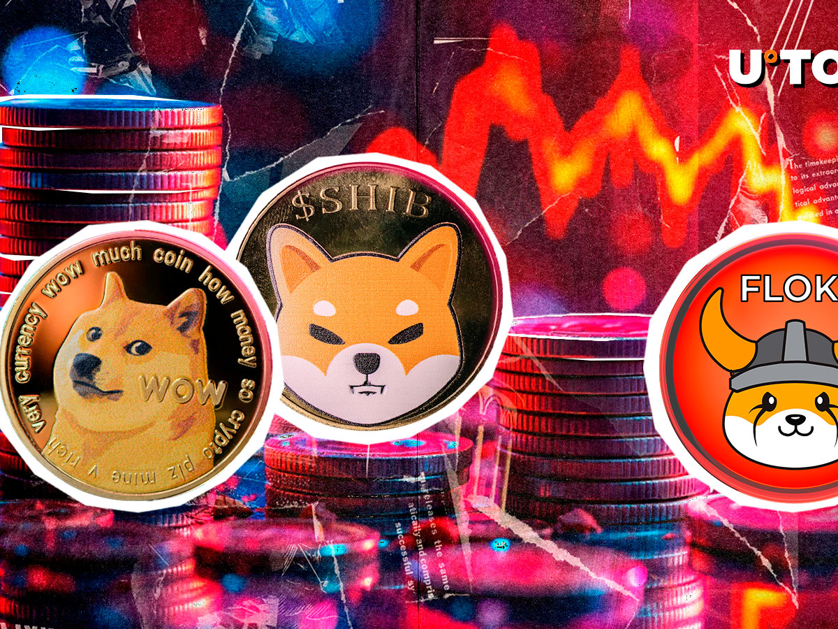 MEME COIN BOOD: DOGE, le pire interprète des lingettes, Floki Leaf en a 100