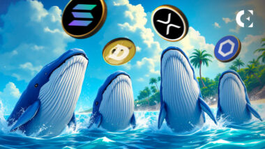 Altcoin Whale Watch: les liens de chaîne sont XRP avec XRP, Solana et DoGECOIN Signaux mixtes.