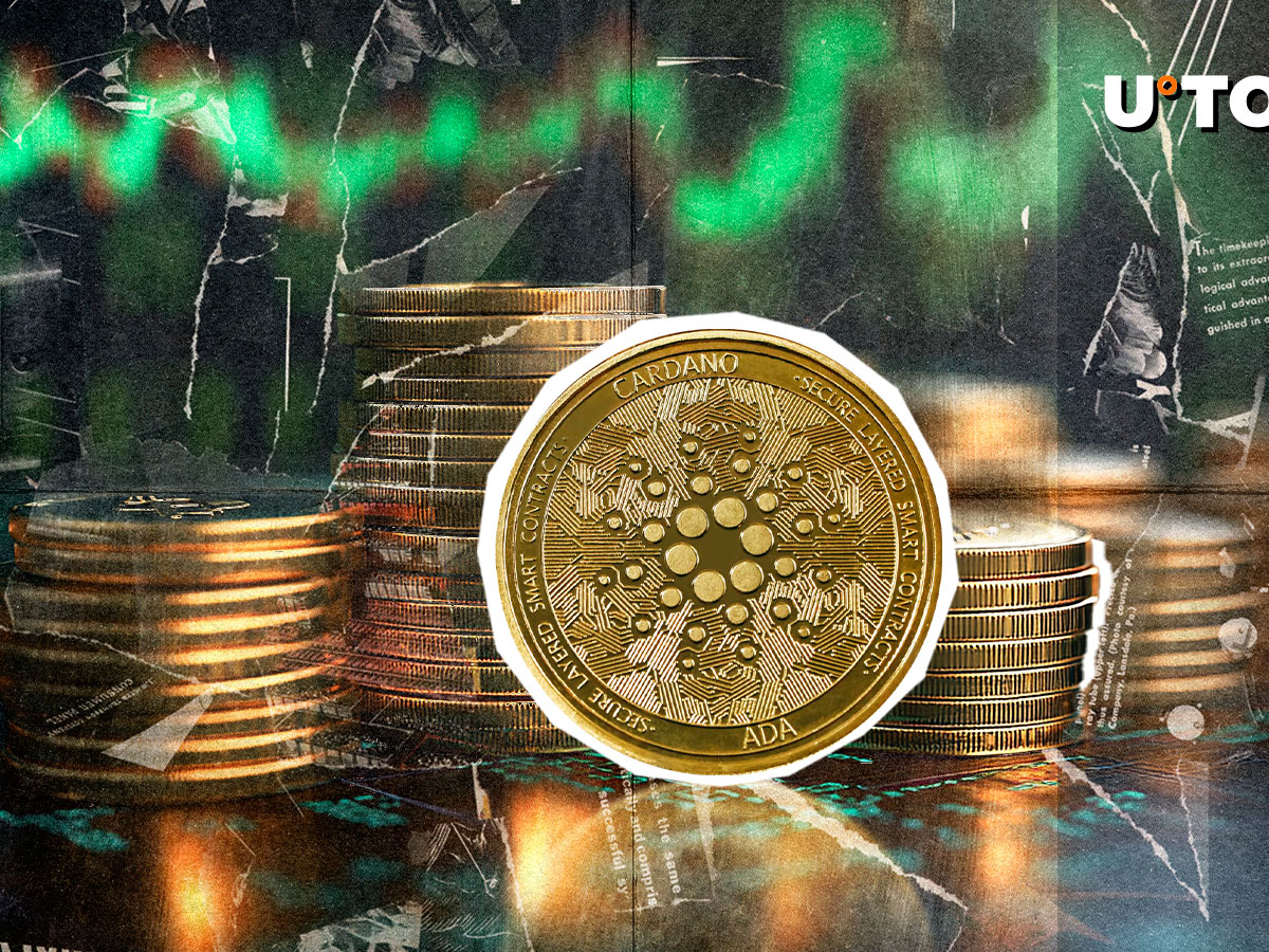 卡尔达诺(Cardano)看到了几个月来最高的看涨