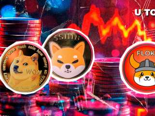 MEME COIN BOOD: DOGE, le pire interprète des lingettes, Floki Leaf en a 100