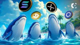 Altcoin Whale Watch: les liens de chaîne sont XRP avec XRP, Solana et DoGECOIN Signaux mixtes.