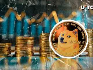 7.679.930.192 DogEcoin Doge -Handel in 24 Stunden sprunghafte Skyrockets