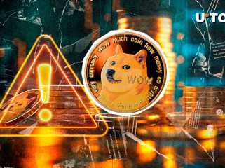 DogEcoin (DOGE) Protagonist teilen wichtige Informationen: Detaillierte Informationen