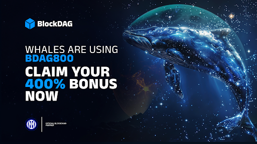 Der Wal endete schnell mit 400% Bonucrypto und der Wal eilte zum Blocker! Cardano Handelsvolumenschwächung, DOGE zeigt gemischte Signale an