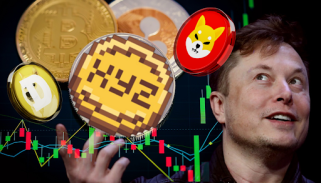 Elon Musk mag diesen Tweet einfach nur.