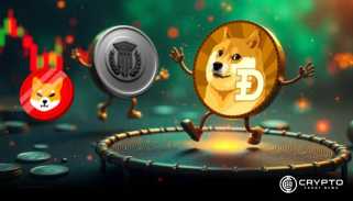 5 꼭 봐야 할 밈 동전, 이것은 다음 개 일 수 있습니다