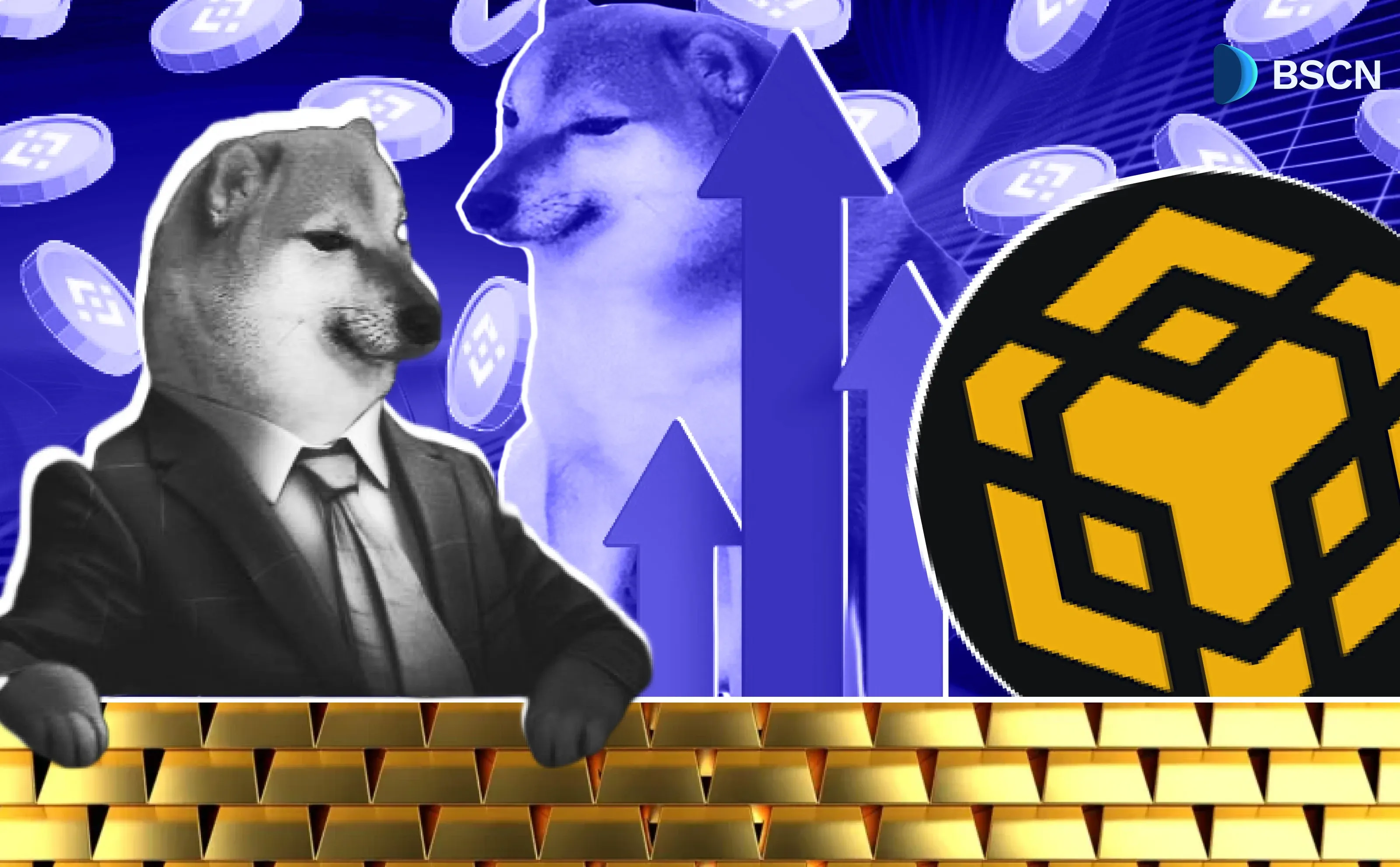 Analyse Chems Memecoin: BNB Giant