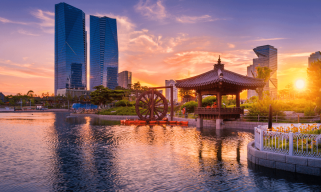 보고서 : 한국 공무원의 20%가 암호 화폐를 보유하고 서울 MP는 1,16 백만 달러